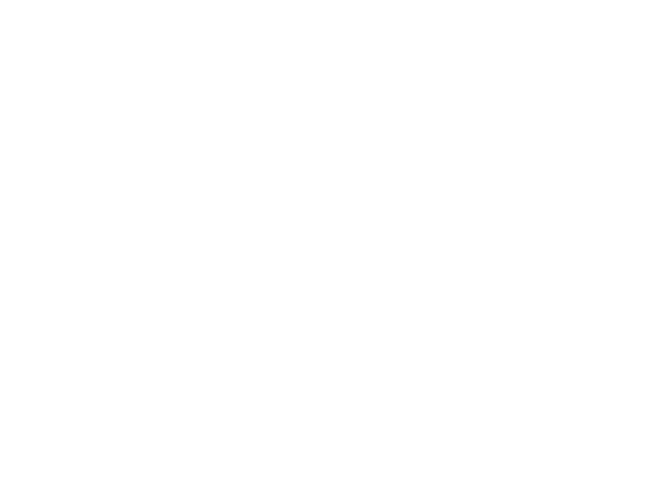Blue Dog Ventures Logo